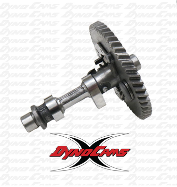 DynoCams Camshaft - CS Grind - Clearanced for 58mm stroke cranks - CS-224